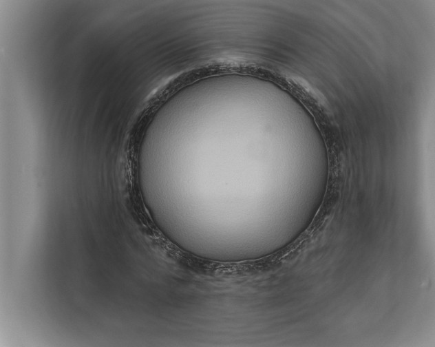 X0000112380776200908271319