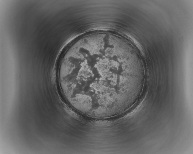 X0000112380779200908271319