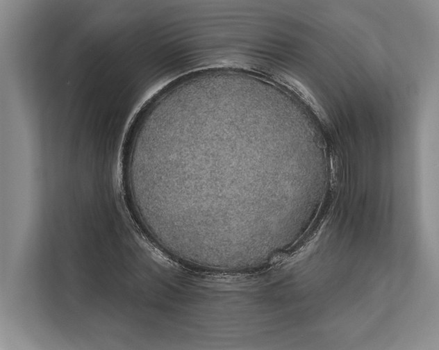 X0000112380780200908271319