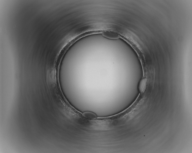 X0000112380781200908271319