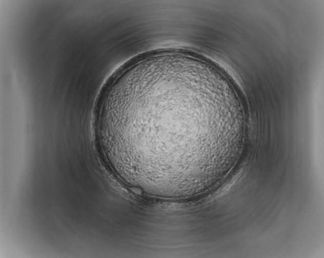 X0000112380783200908271319