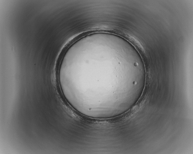 X0000112380784200908271319