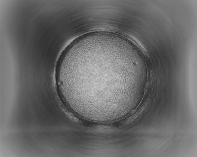 X0000112380788200908271319