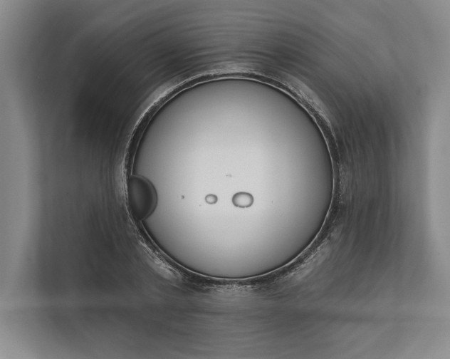 X0000112380789200908271319