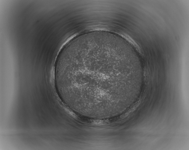 X0000112380790200908271319