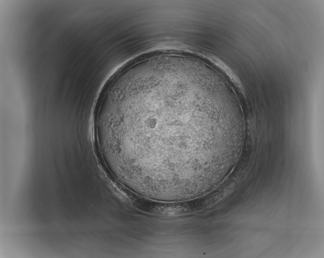 X0000112380791200908271319