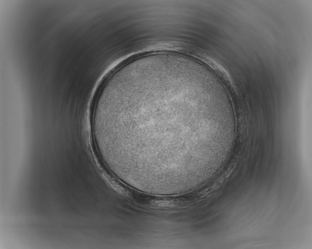 X0000112380792200908271319