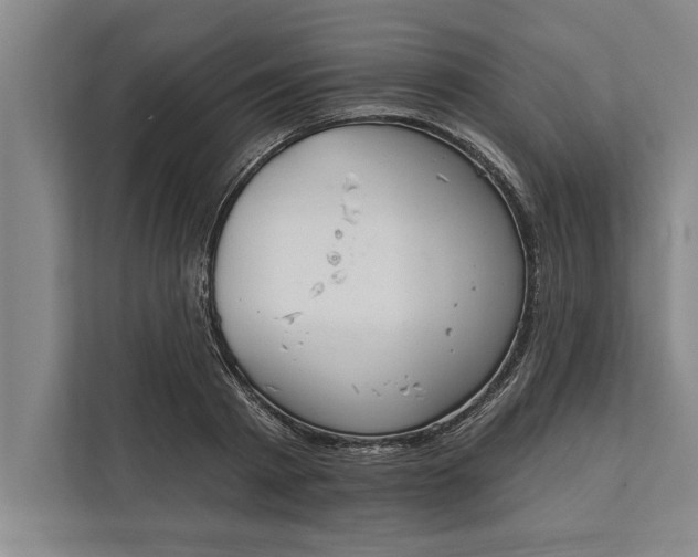 X0000112380793200908271319