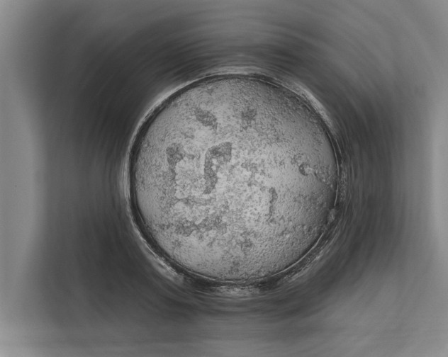 X0000112380795200908271318