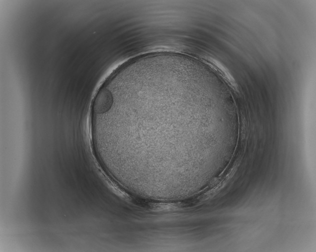 X0000112380796200908271318