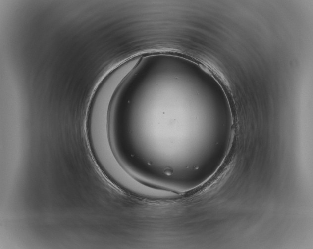 X0000112380797200908271318