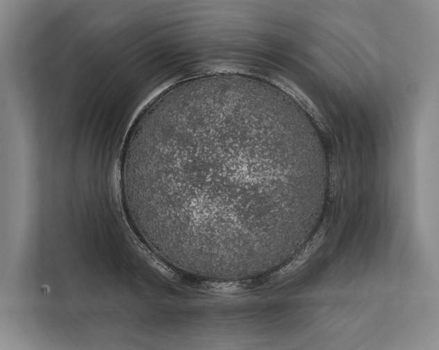 X0000112380798200908271318