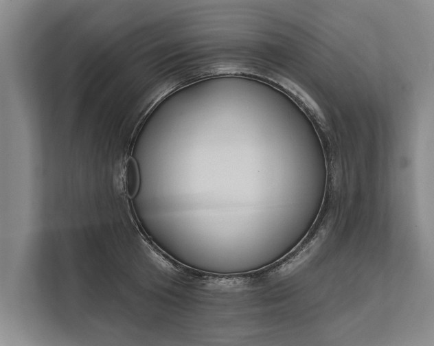 X0000112380801200908271318