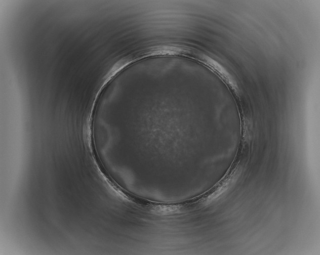 X0000112380802200908271318