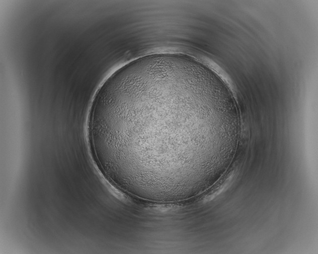 X0000112380803200908271318