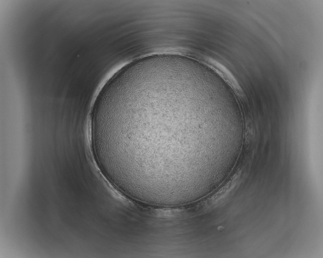 X0000112380804200908271318