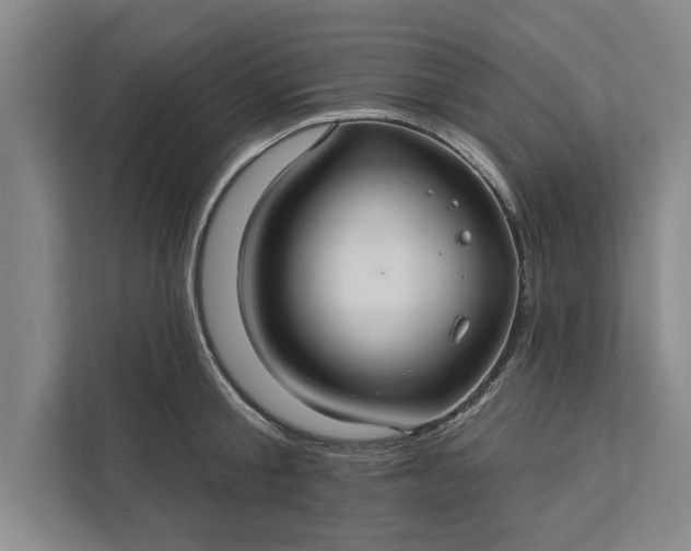 X0000112380805200908271318