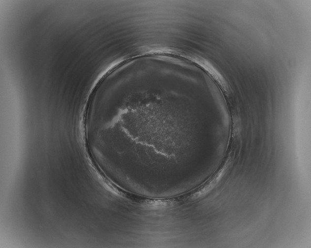 X0000112380806200908271318