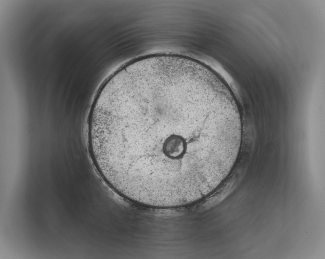 X0000112380807200908271318