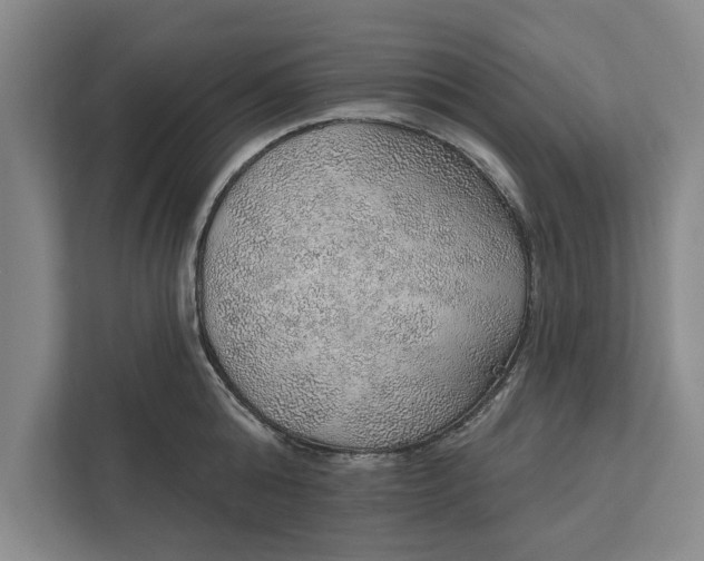 X0000112380808200908271318