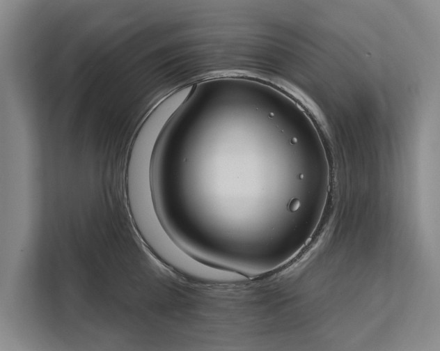 X0000112380809200908271318