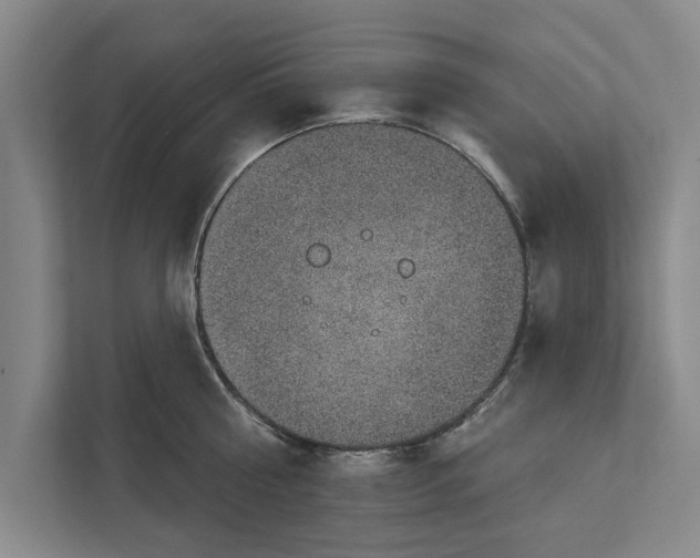 X0000112380810200908271318