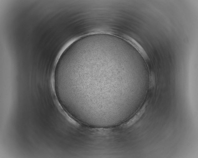 X0000112380812200908271318