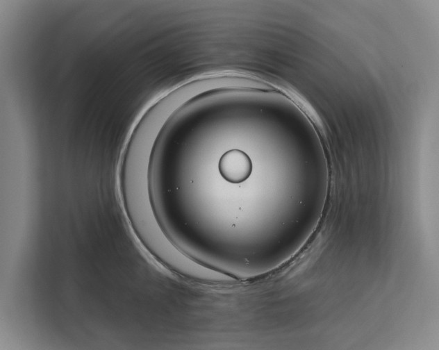 X0000112380813200908271318