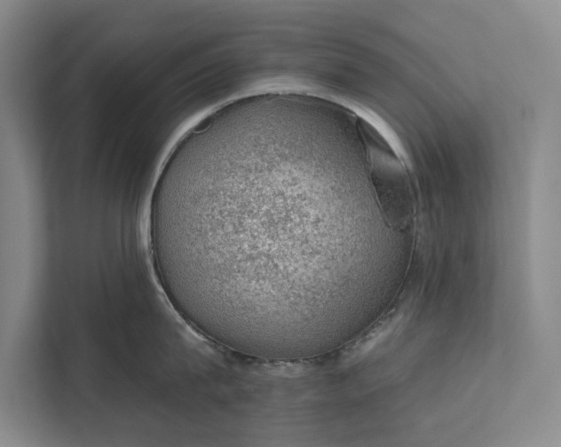 X0000112380815200908271318