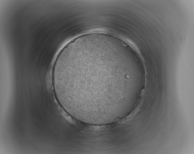 X0000112380816200908271318