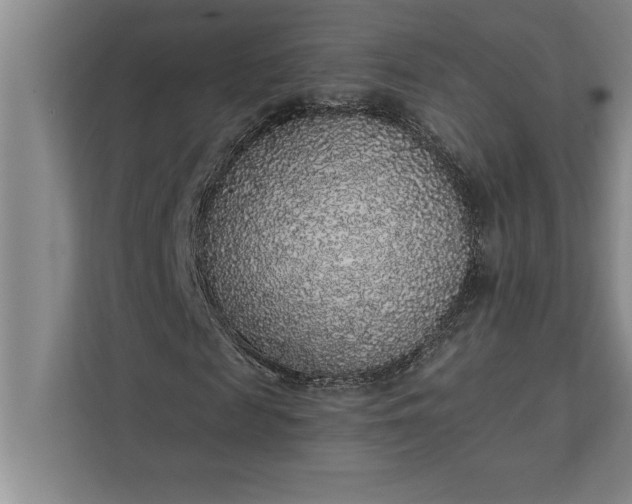 X0000112380817200908271318