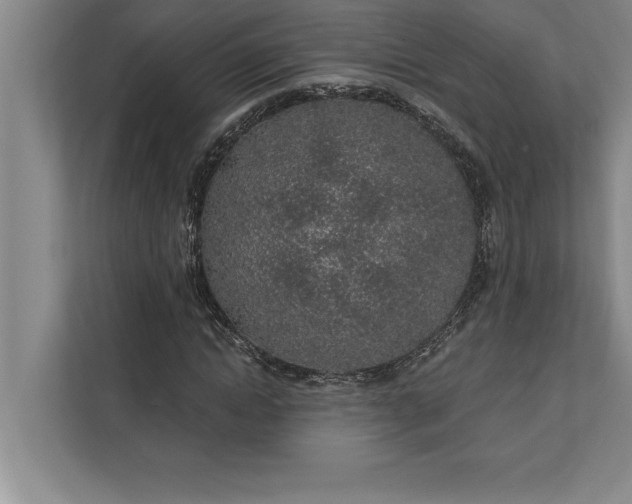 X0000112380822200908271318