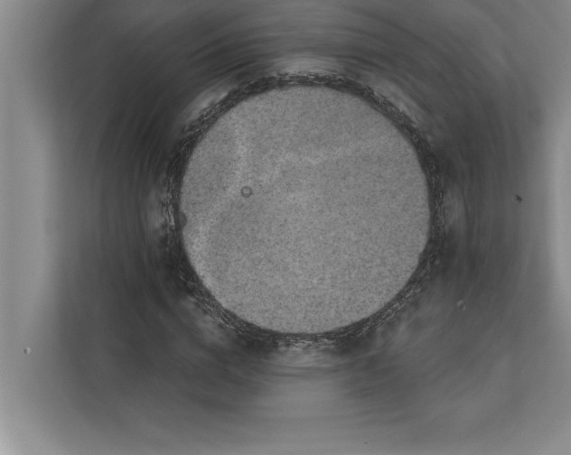 X0000112380824200908271318