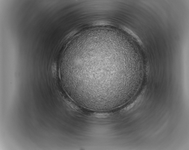 X0000112380825200908271318