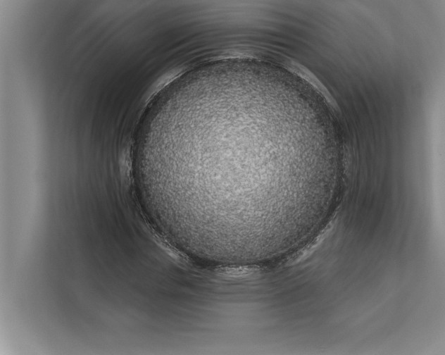 X0000112380826200908271318