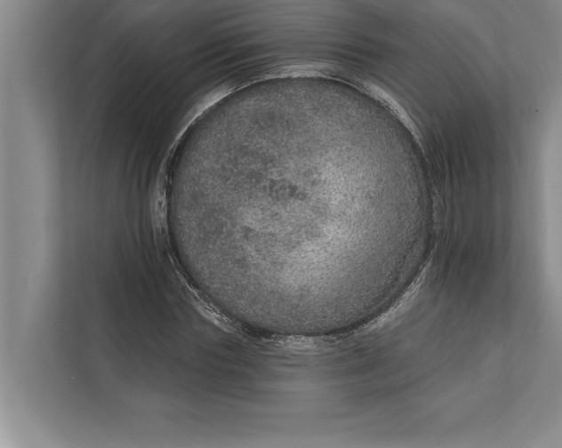 X0000112380827200908271318