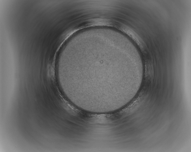 X0000112380828200908271318