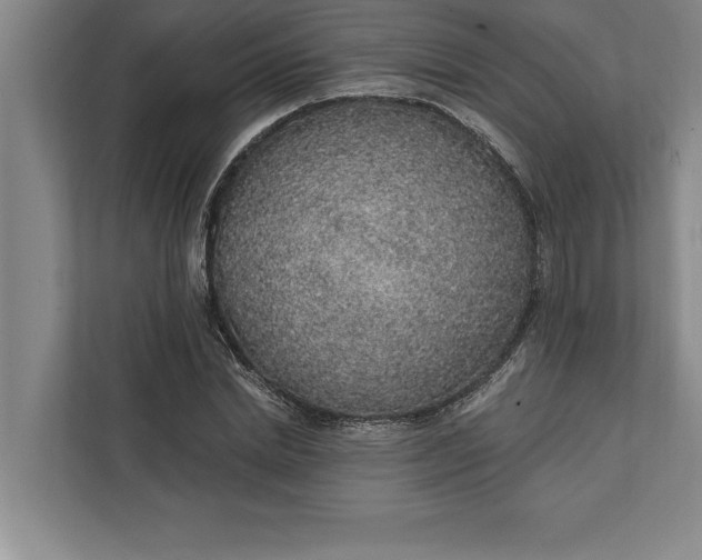 X0000112380830200908271318