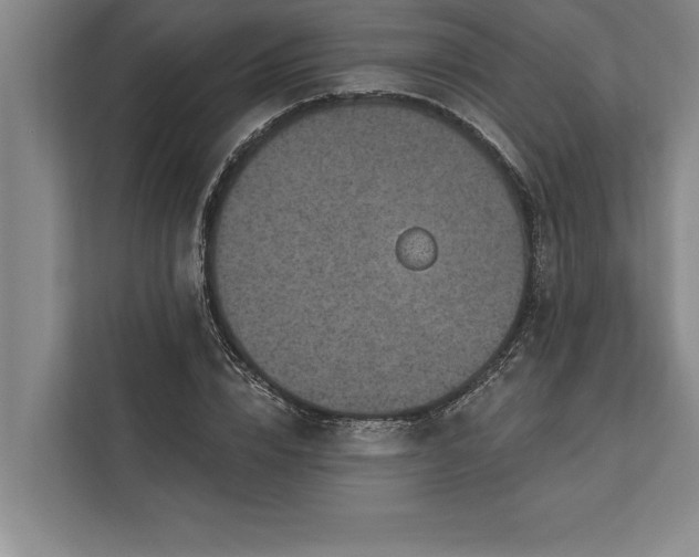 X0000112380832200908271318