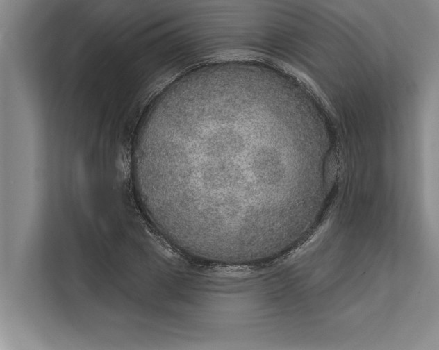 X0000112380833200908271318