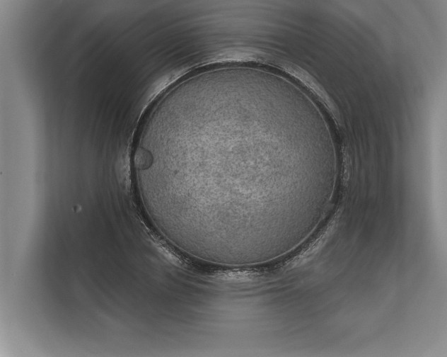 X0000112380834200908271318