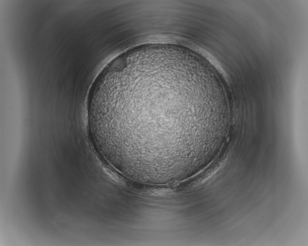 X0000112380837200908271318