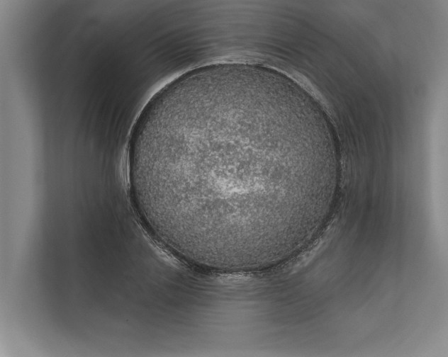 X0000112380838200908271318