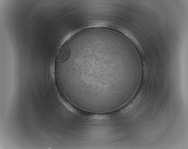 X0000112380842200908271318