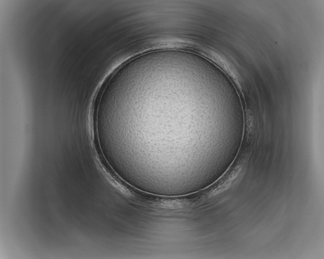 X0000112380843200908271318