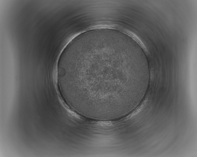 X0000112380844200908271318