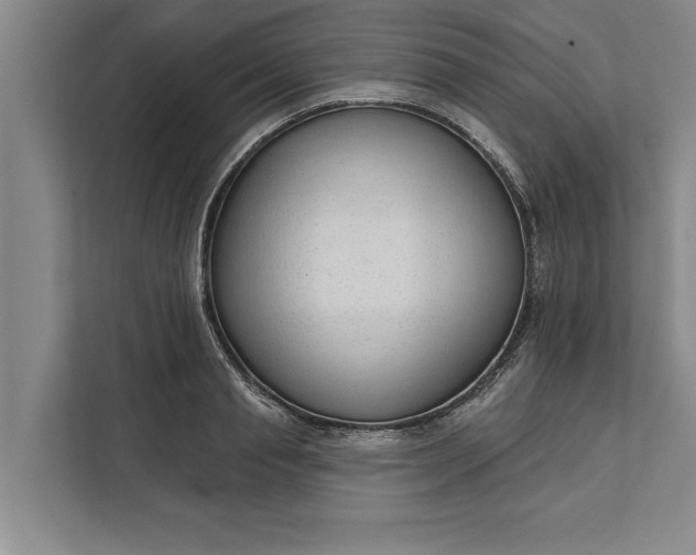 X0000112380845200908271318