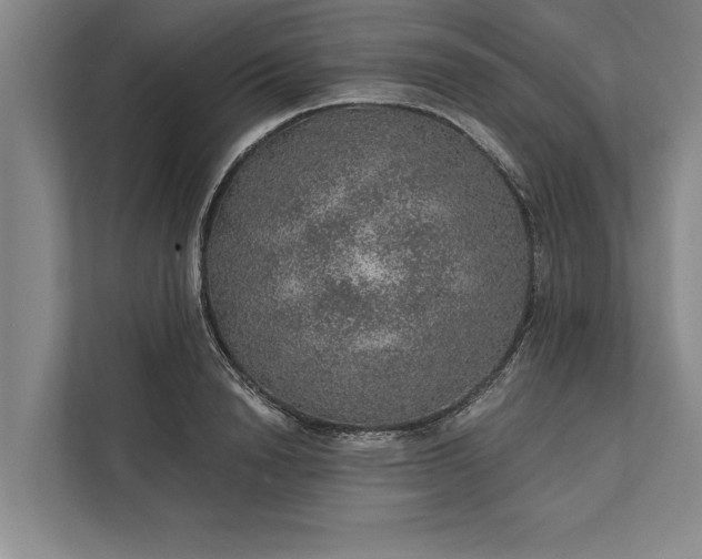 X0000112380846200908271318