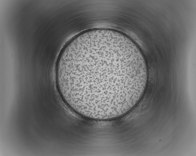 X0000112380848200908271318