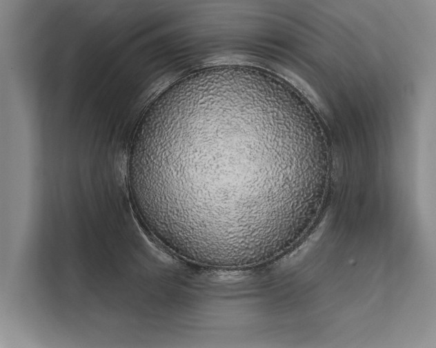 X0000112380849200908271318